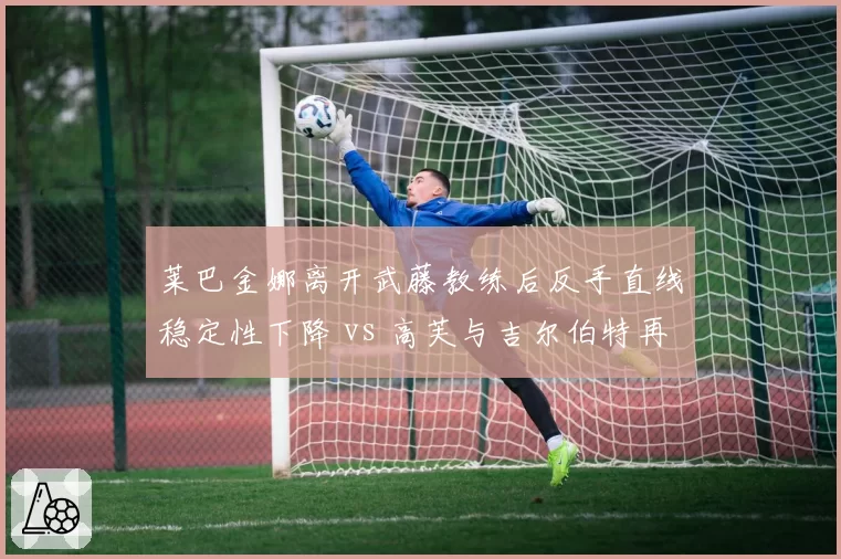 莱巴金娜离开武藤教练后反手直线稳定性下降 vs 高芙与吉尔伯特再合作后正手威力回升
